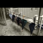 thumbnail Les parapluies de l'Ehpad  01-2013